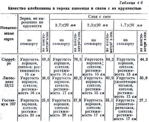 Клейковина пшеницы