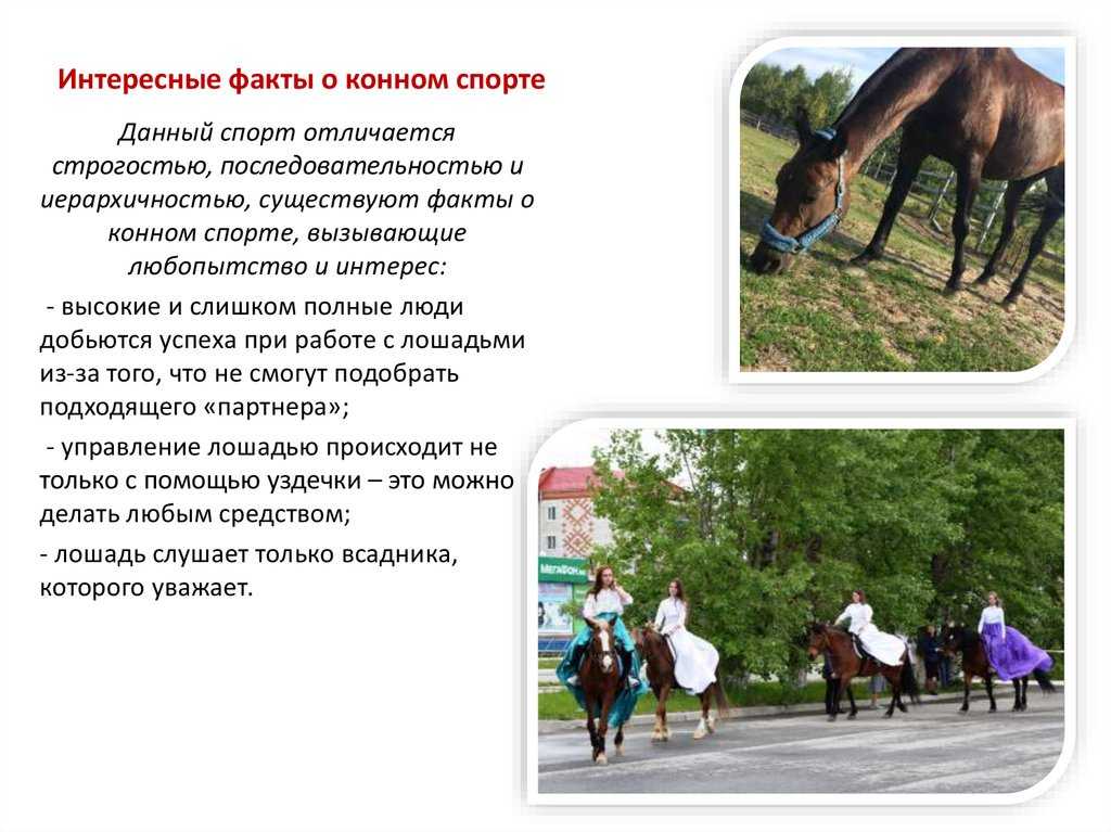 Спорт в башкортостане