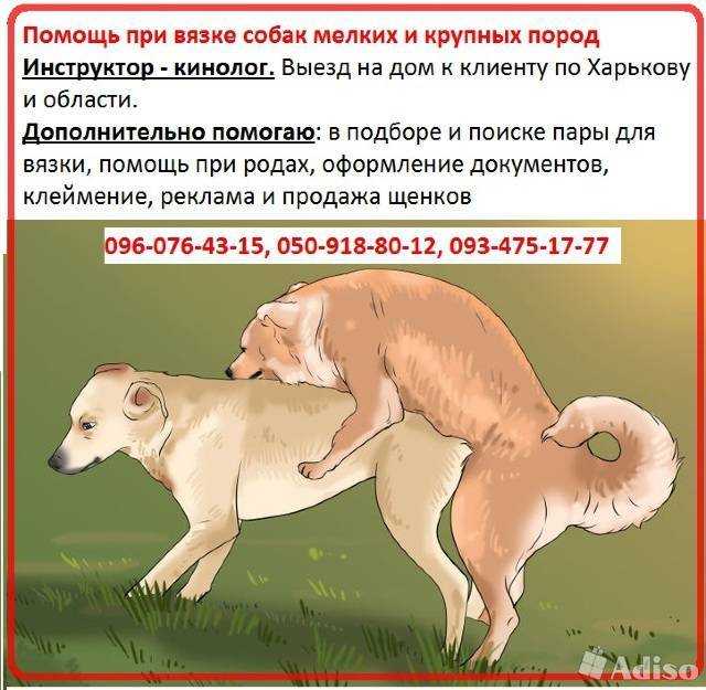 Суперфетация у людей в естественных условиях и при эко