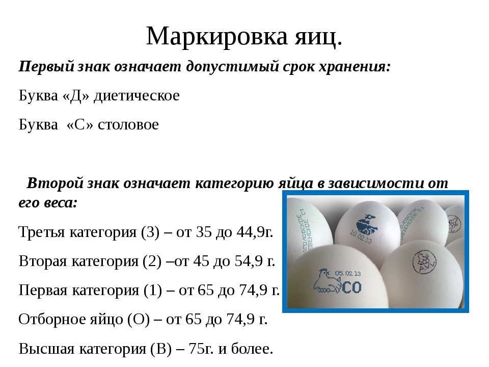 Типы яиц и яичных оболочек