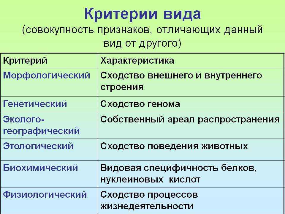 Вид⭐️: определение, его основные критерии в биологии и особенности