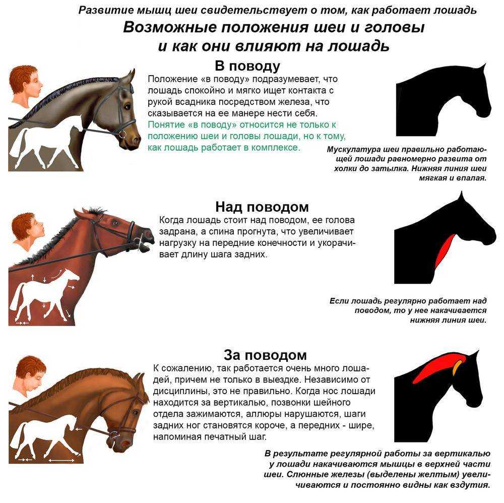 Управление экипажами