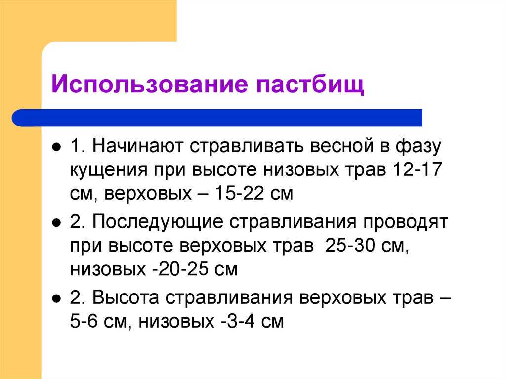 Создание пастбищ