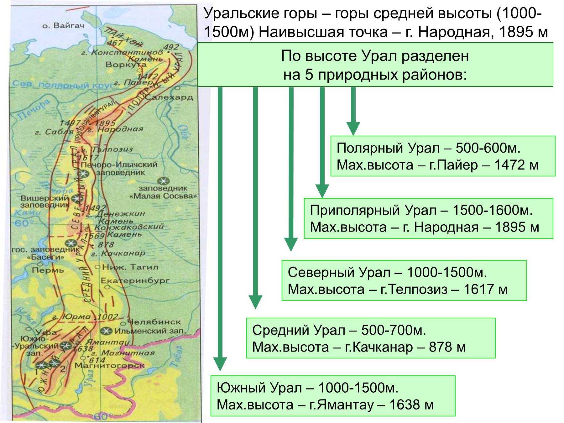 Природные зоны урала (южного и северного) и уральских гор