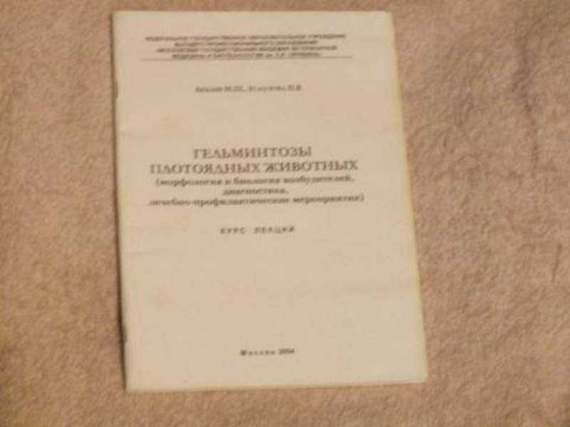 Самые опасные насекомые-переносчики болезней человека