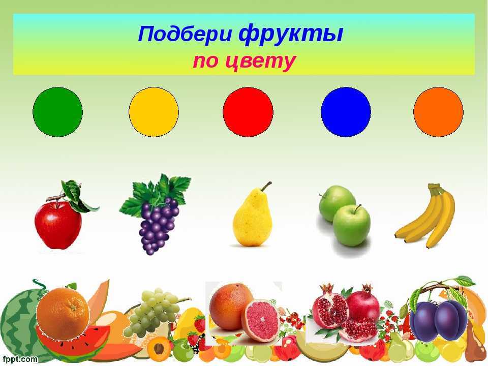 Химический состав плодов и овощей. химический состав и пищевая ценность овощей