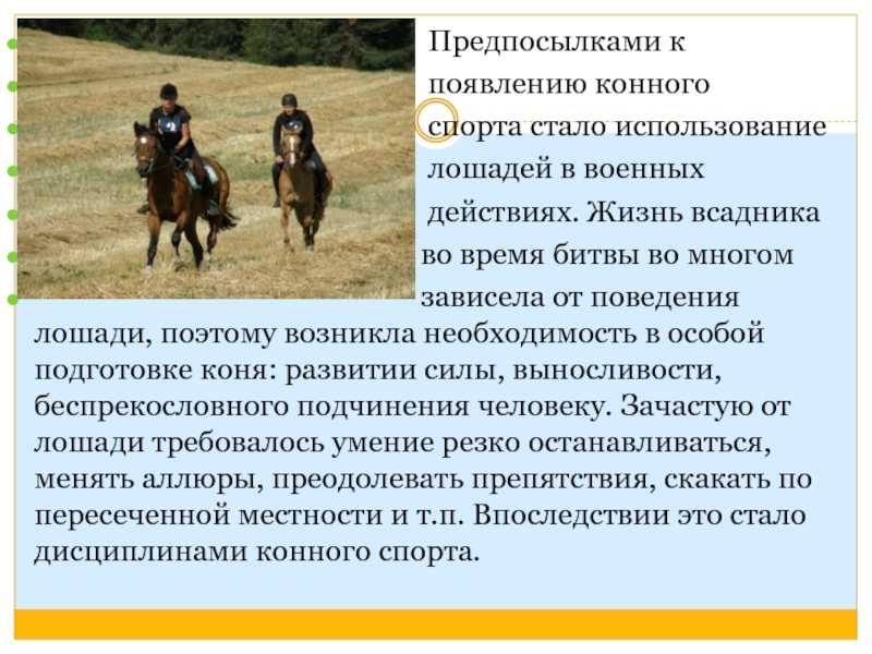 Конный спорт в башкортостане реферат