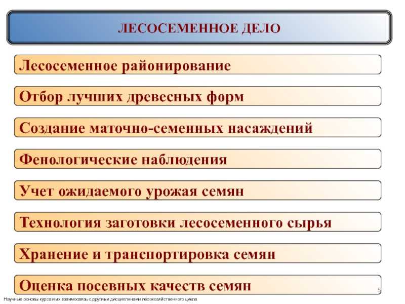 Презентация по модулю пм 01.  доклад, проект