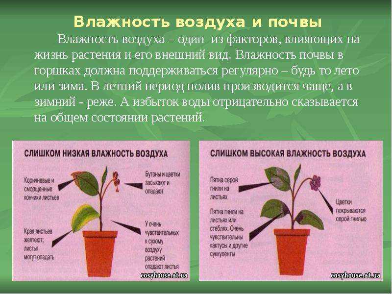 Влажность - степановских а.с. экология. учебник для вузов