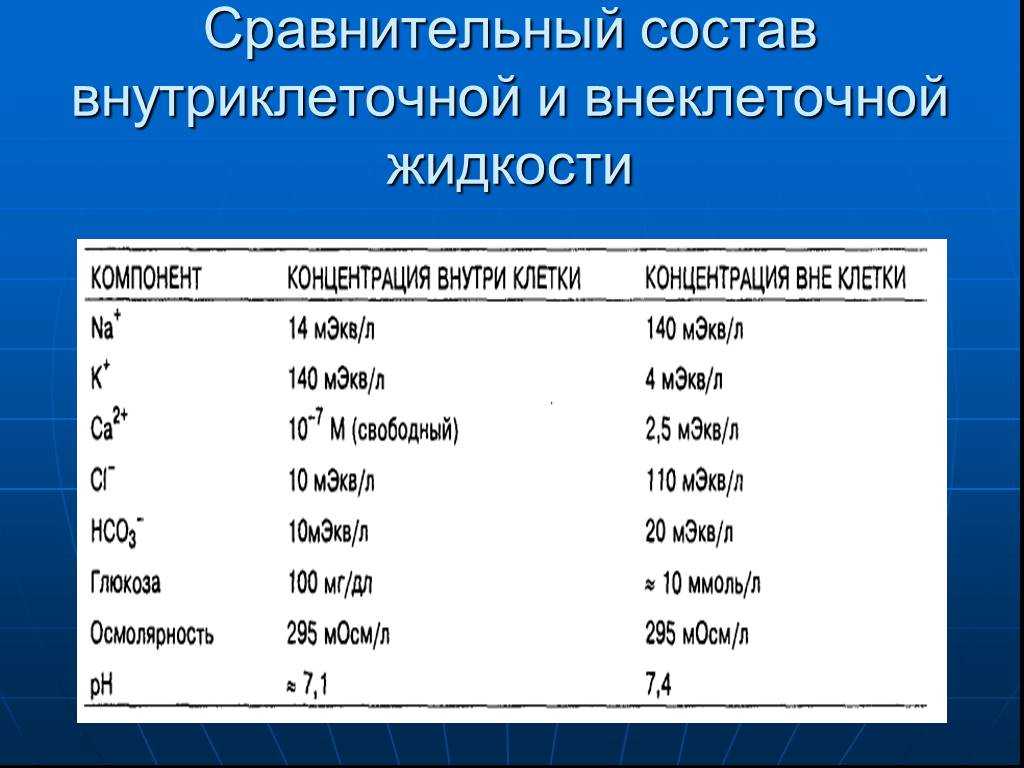 Презентация на тему: "раздражимость и возбудимость клеток и тканей. методы исследования электровозбудимых мембран. потенциал покоя и механизм его формирования.". скачать бесплатно и без регистрации.