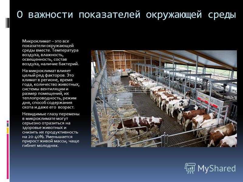 Основы ухода за сельскохозяйственными животными | нпп "фармакс"