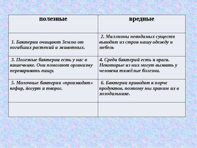 Разница между термофильными и мезофильными бактериями - разница между - 2023