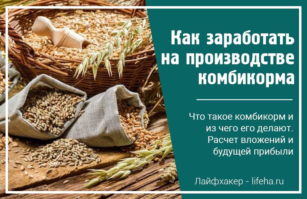 Производство комбикорма как бизнес в домашних условиях в 2023 году – biznesideas.ru