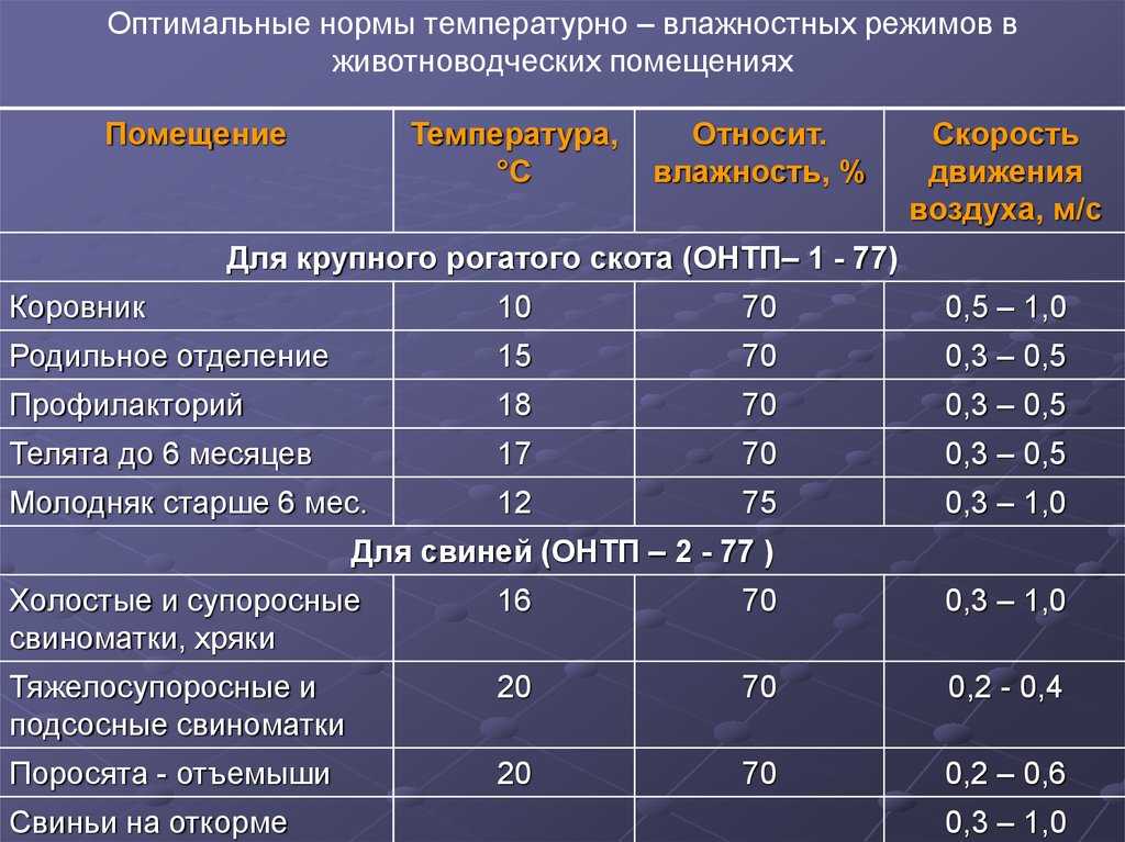 Чтоб теленок был здоров - dribin.by