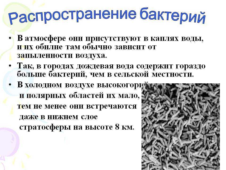 Распространение микробов в окружающей среде микробиология кратко