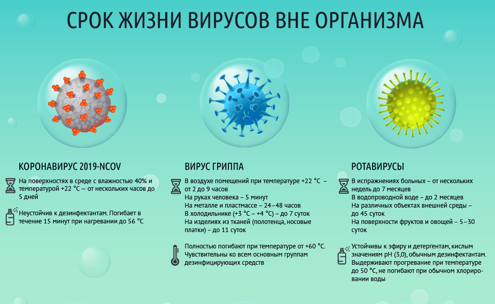 Борнавирусы - med24info.com