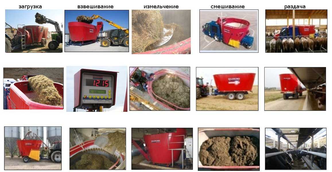 Основные типы кормов | аграрный сектор
