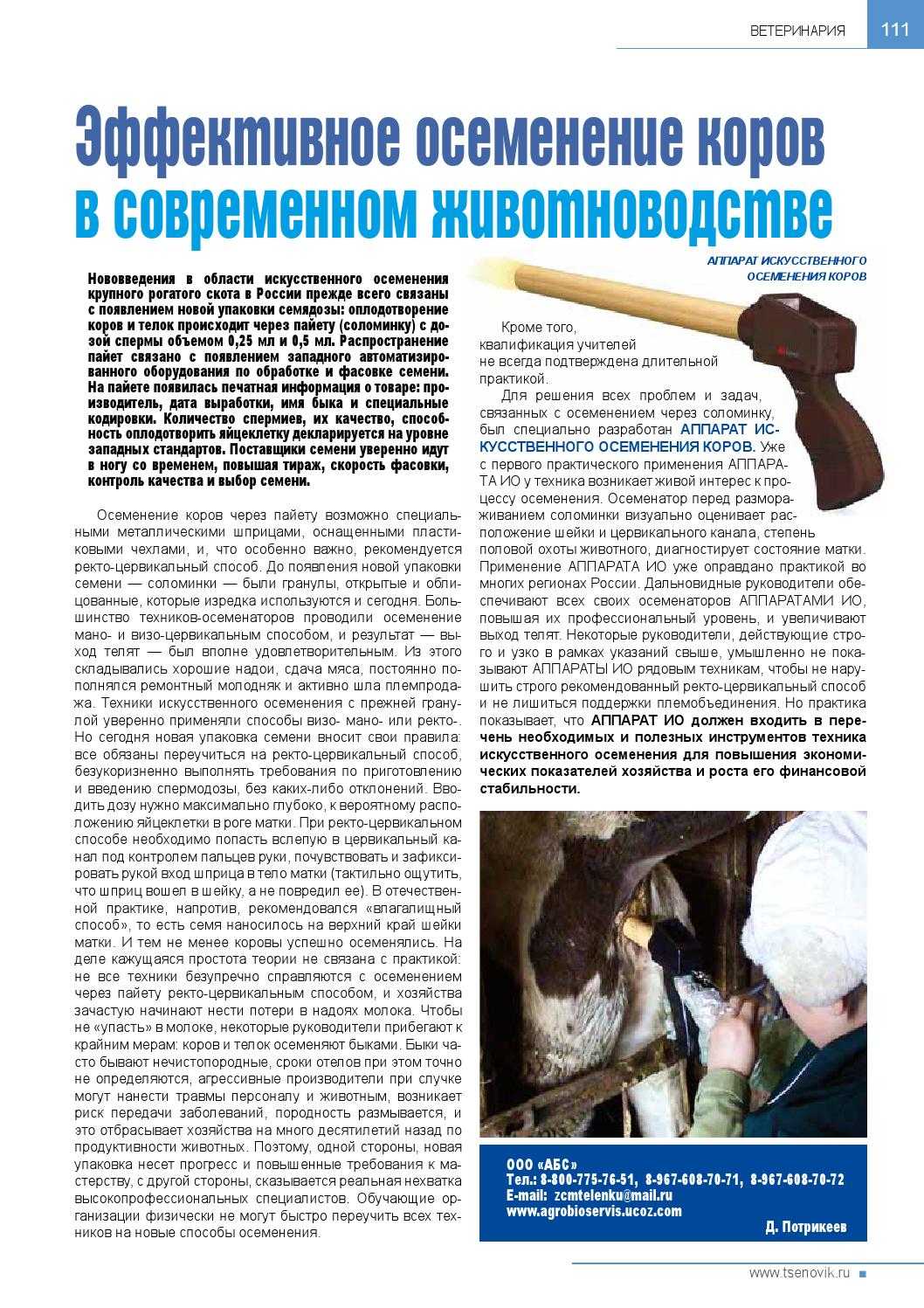 Время и кратность осеменения коров