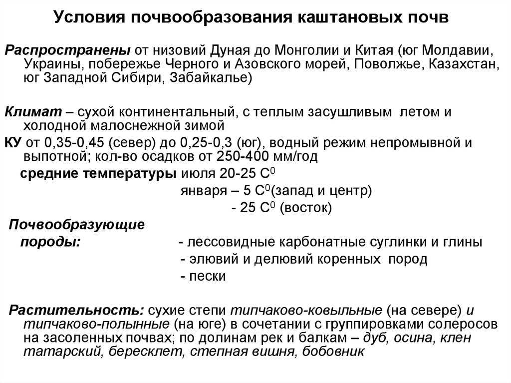 Что ⭐️ такое почва: описание, состав, особенности строения, примеры почв