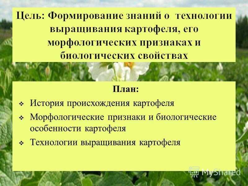 Биологические особенности