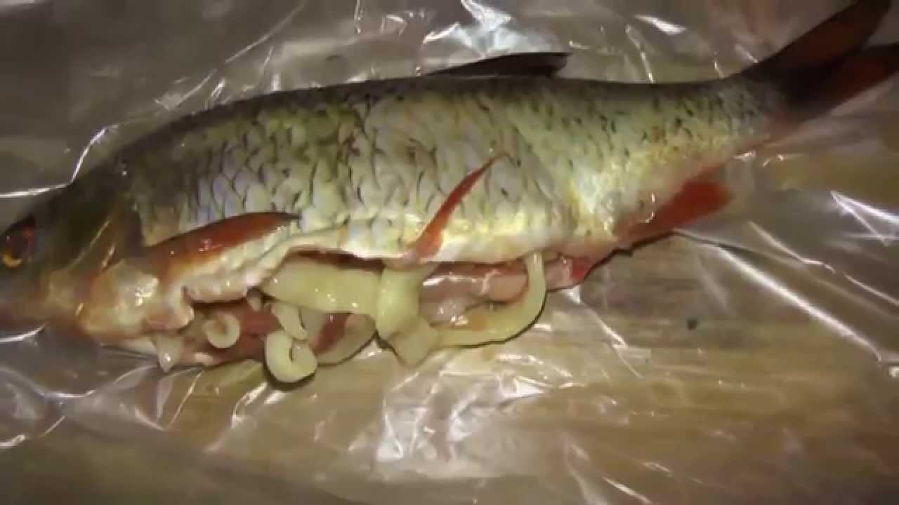 Красные и оранжевые черви в минтае - как выглядят и что делать с рыбой, зараженной паразитами