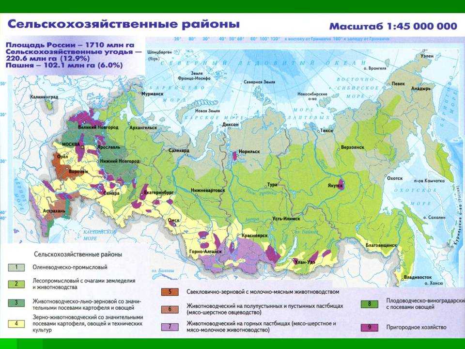 Характеристика природной зоны лесостепи
