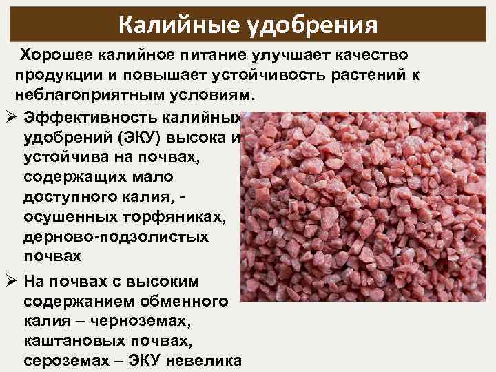 Калийные удобрения: это какие. виды, применение и значение