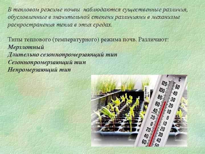 Эффективность глубокого рыхления и химмелиорантов на дренированных суглинистых почвах в условиях северо-восточной части белорусской сср  высокоморный, владимир иванович