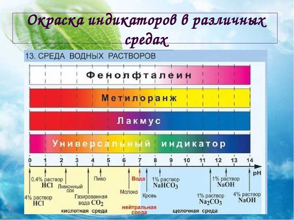 § 6. питательные среды и микробиологическое исследование - manada.ru