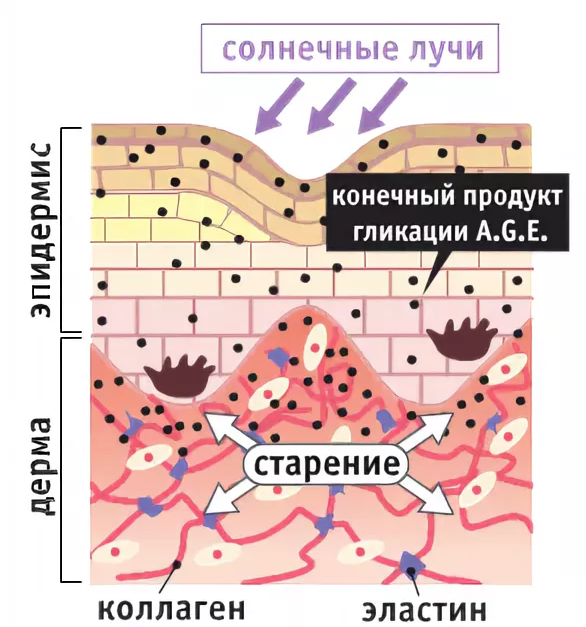 Тиогликоль что это для волос