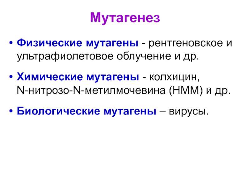 Впервые мутагенный эффект рентгеновского излучения был открыт