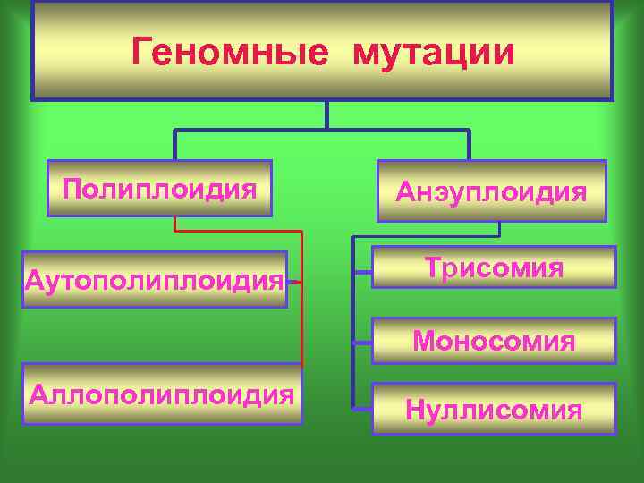 Полиплоидия