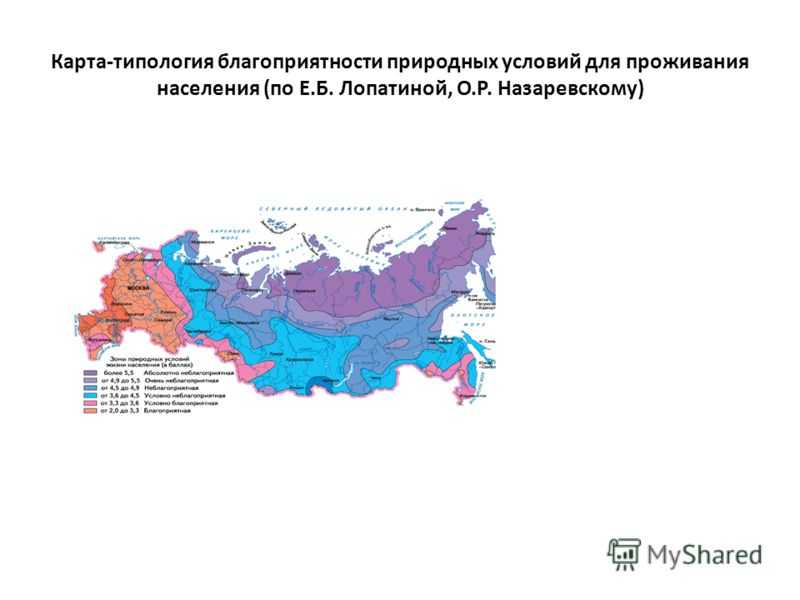 Тайга - природная зона, описание, климат, особенности и характеристика | зона тайги россии