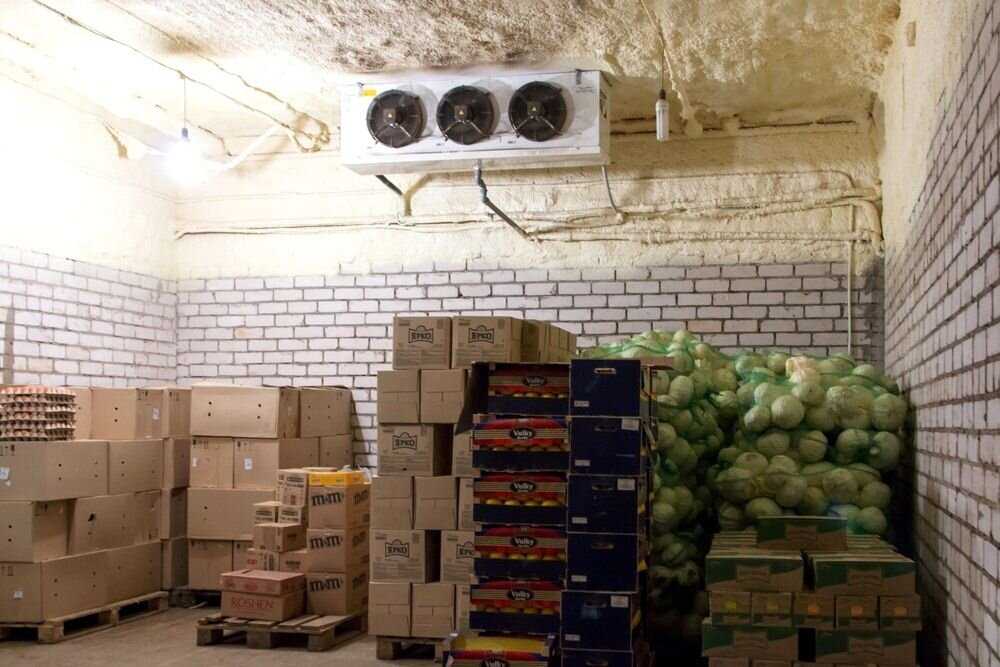 Хранение  картофеля, овощей и плодов в газовых средах
