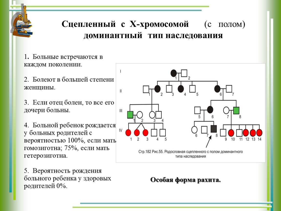 Презентация, доклад на тему генетика пола и сцепленных с полом признаков