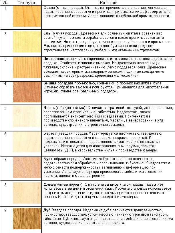 Породы древесины — классификация видов