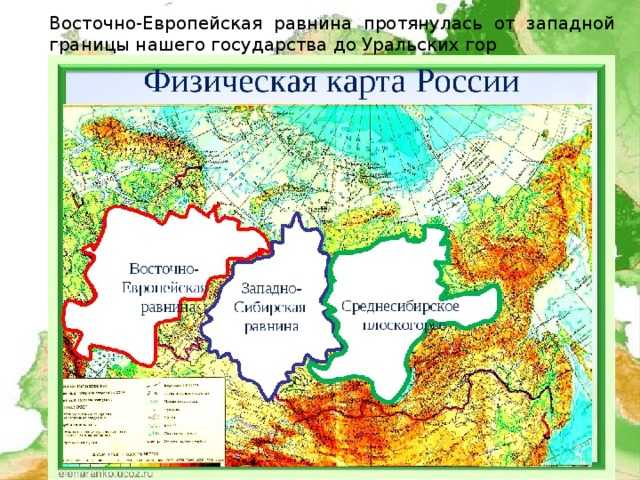 Восточно-европейская равнина — рувики