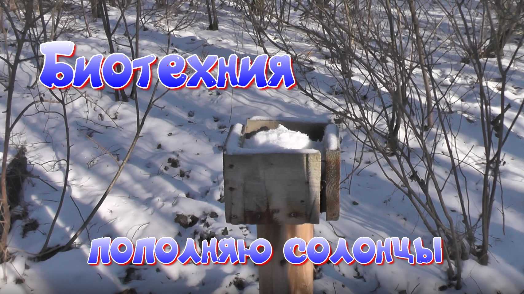 Биотехния в охотничьем хозяйстве