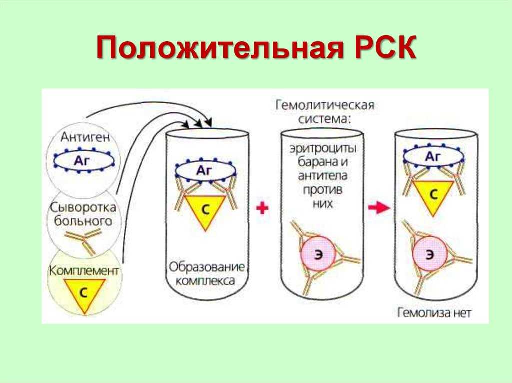 Серологические реакции