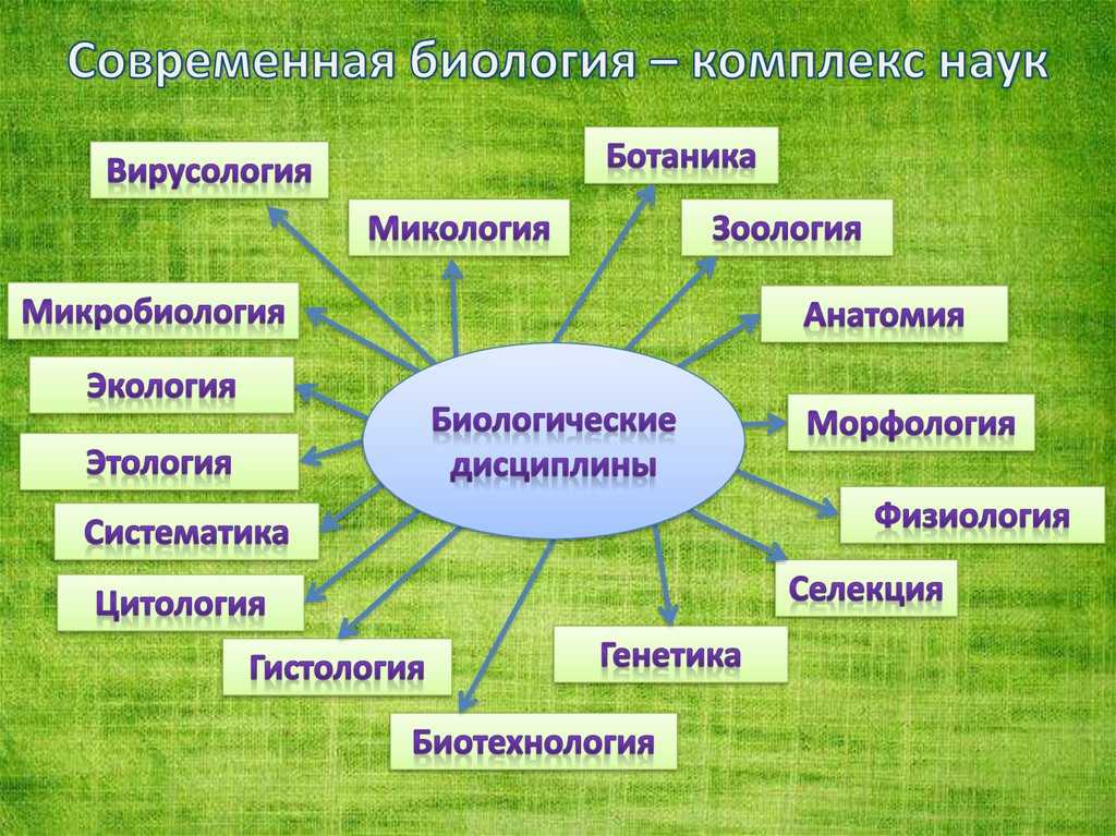Микология: история, изучает и ветви - наука - 2023