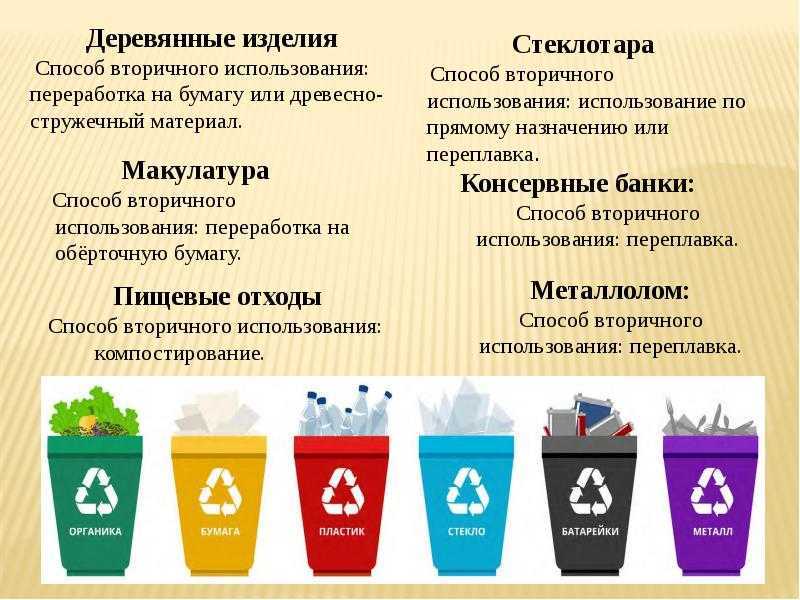 Дереворазрушающие грибы — ксилотрофы