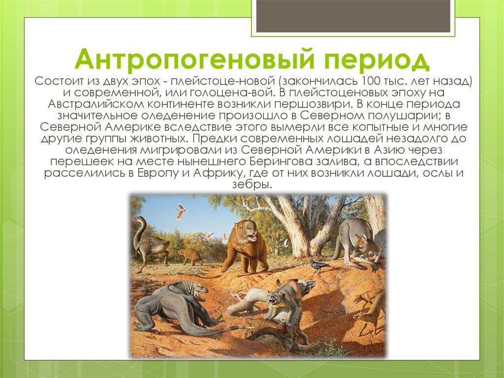 Четвертичный период, или антропоген (2,6 млн лет назад — до настоящего времени)