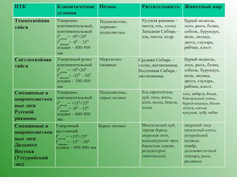 Какой климатический пояс в тайге?