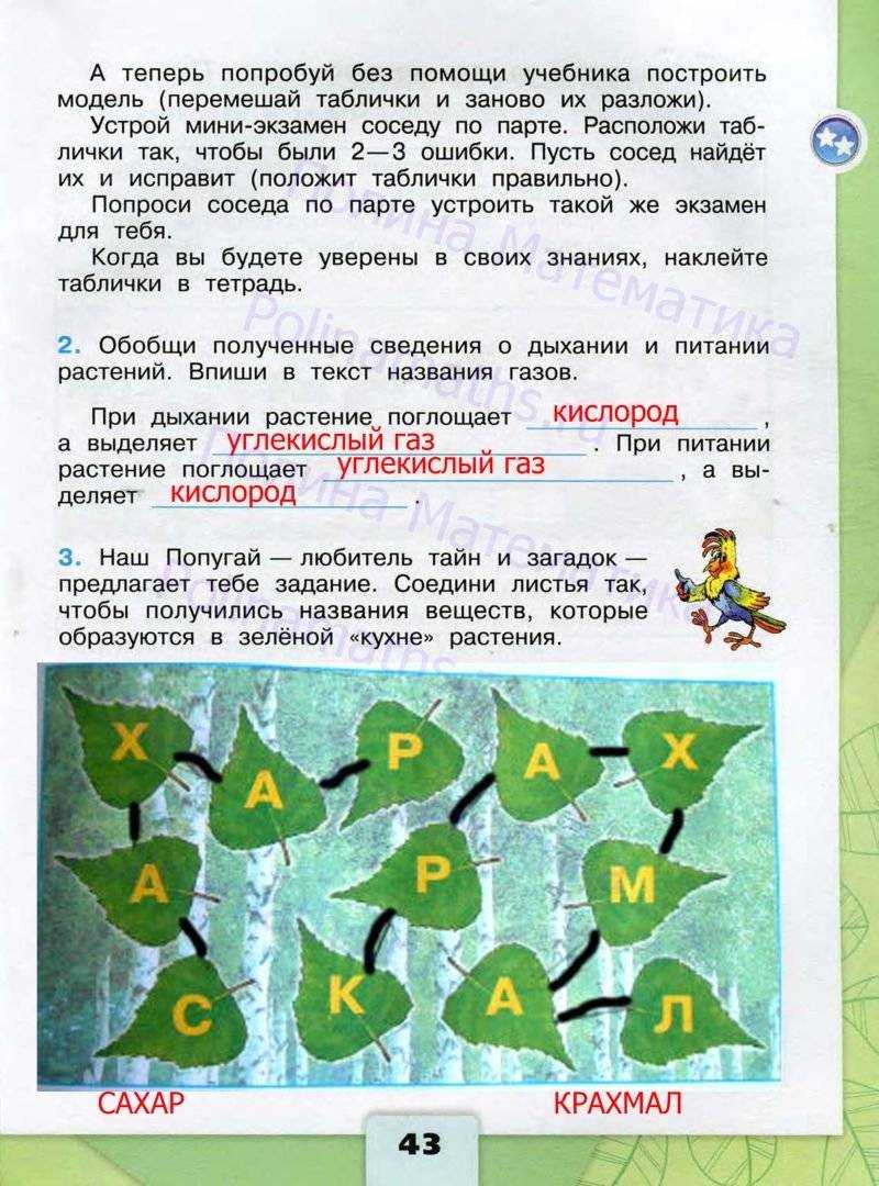 Провели опыт: под стеклянный колпак посадили мышь и поместили стакан с известковой водой. что произо - узнавалка.про