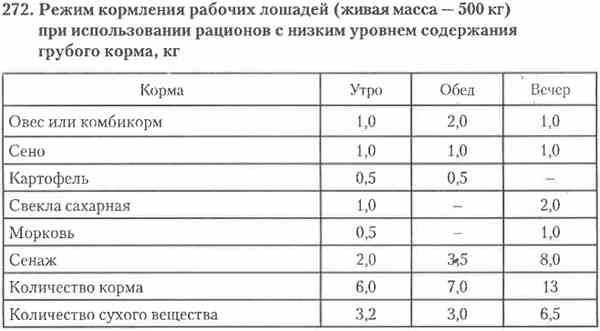 Корм и вода | домашние животные