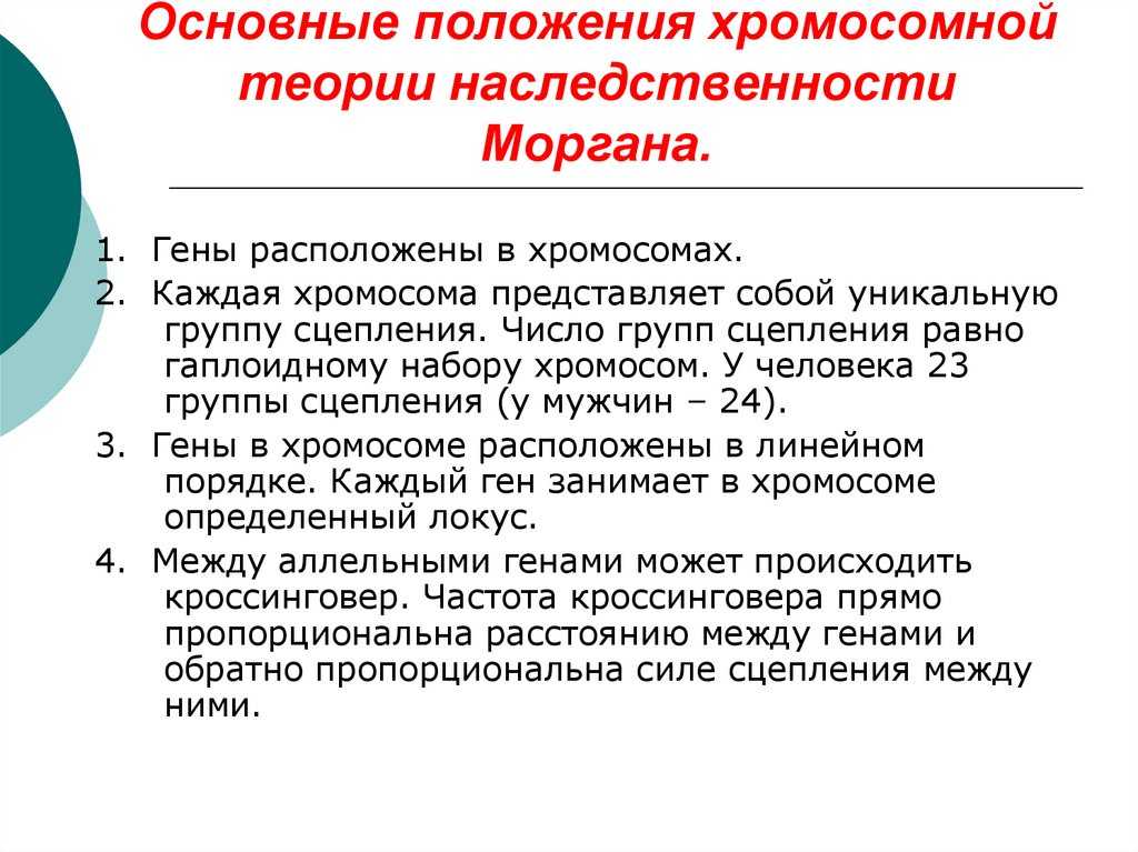 Роль хромосомных и геномных мутаций в эволюции - значение мутаций в эволюции живого мира - материалы по биологии - biologywork.ru