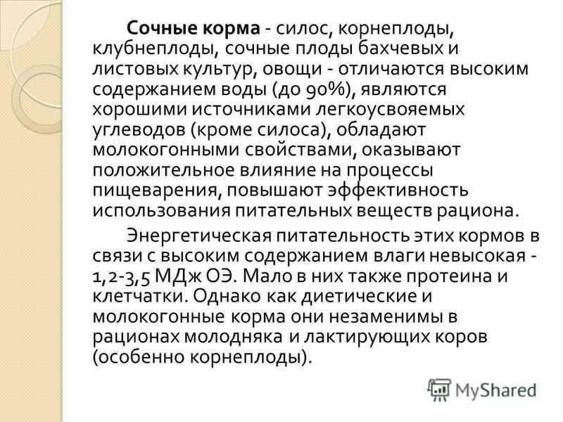 Конное ромашково