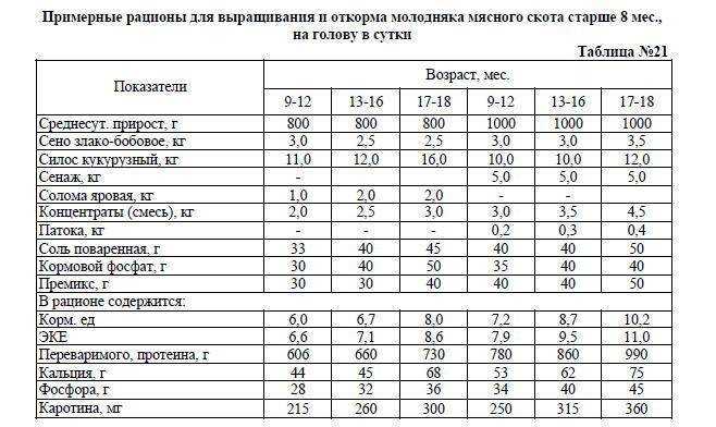 Содержание коров | влияние условий содержания молодняка на мясную продуктивность