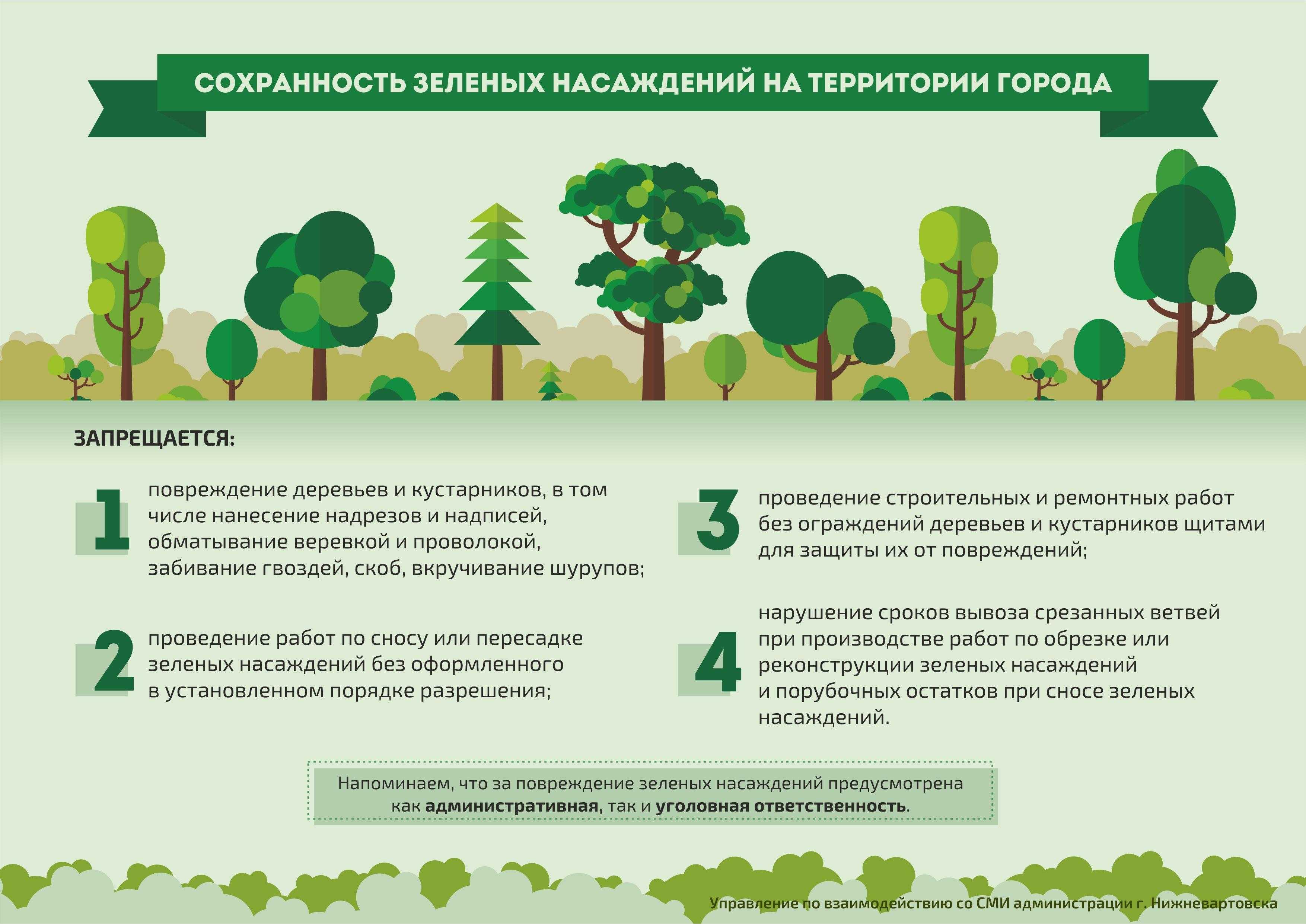 Расчистка участка сельхозназначения от леса