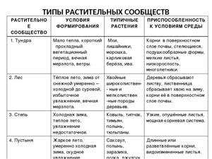 Фитоценоз
